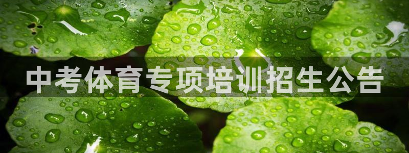 极悦平台官方网站登录不了