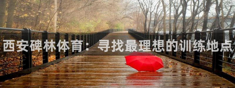 极悦平台注册官网网址：西安碑林体育：寻找最理想的训练地点